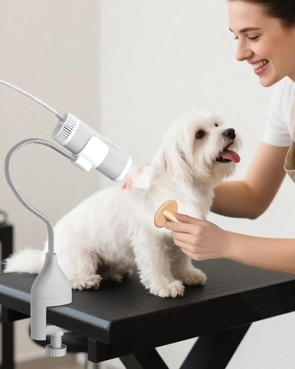 Pet Grooming Dog Hair Dryer Water Blowing Machine Neck Hang
