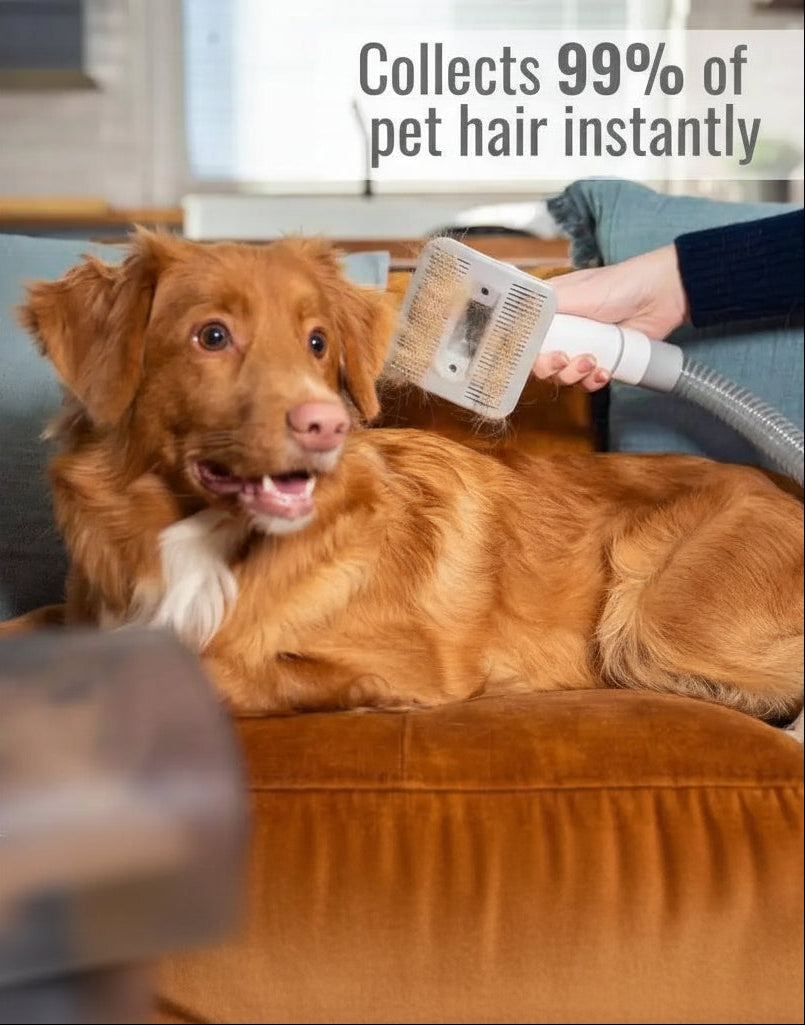 GROOMINGUS dog grooming vacuum kit attachments for all dog breeds and coat types