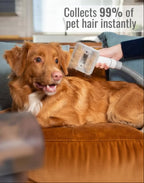 GROOMINGUS dog grooming vacuum kit attachments for all dog breeds and coat types