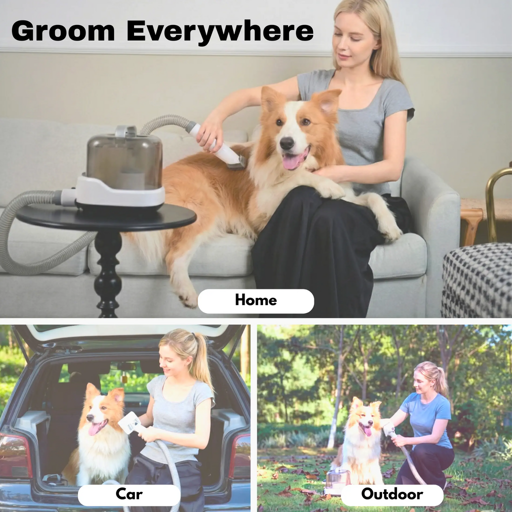 CalmCare Cordless Grooming Kit For Dogs
